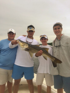 Giant Snook Tampa Bay