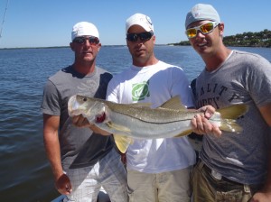 great day of charter fishing in tampa bay
