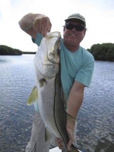 mark with snook