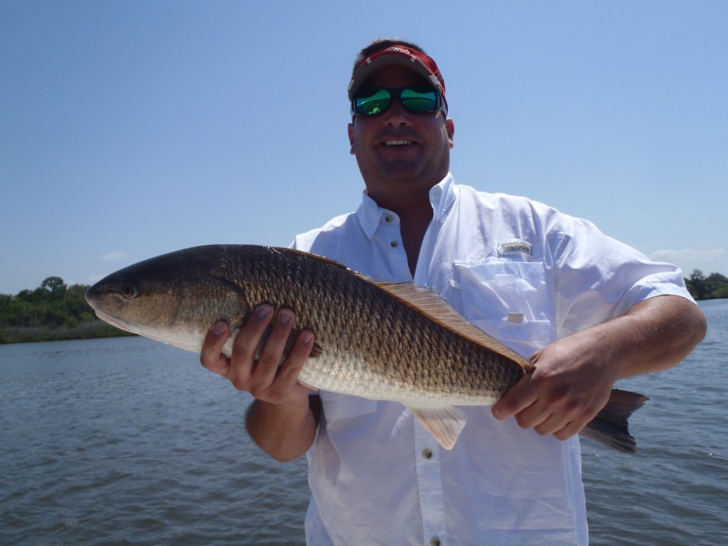 nice redfish caught in tampa bay Fun Flats Fishing Tampa Bay Area